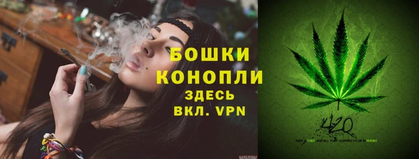 MESCALINE Покачи