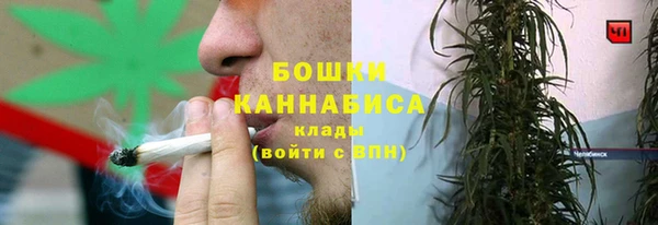 гидропоника Пересвет