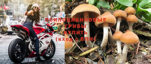 гидропоника Пересвет