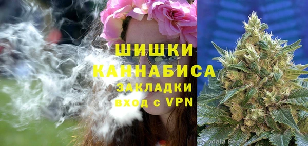гидропоника Пересвет