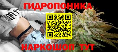 MESCALINE Гай