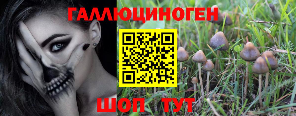 Галлюциногенные грибы прущие грибы  купить   Анапа  Вход с VPN 